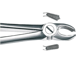 Zahn- und Wurzelzangen