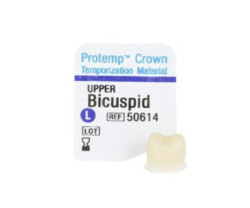 Protemp Crown