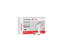 AKTIONSPAKET Biodentine XP Starter-Paket