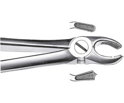 Zahn- und Wurzelzangen